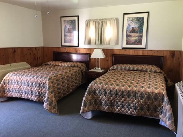 The Forest Lodge And Campground Marienville Extérieur photo